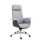 Ergovex Executive Office Chair – Ultimate Comfort Innovation