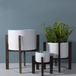 Albero Flower Pot Decoration