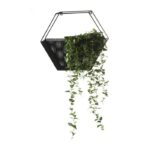 Fran Metal Decoration