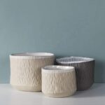 Pino Pot – Elegant Ceramic Planter for Stunning Home Style - Image 3