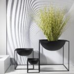 Adelaide B - Black L - Image 2