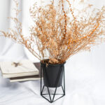 Hyssop Pot Hitam – Pot Berkelanjutan untuk Inspirasi Hidup - Gambar 3