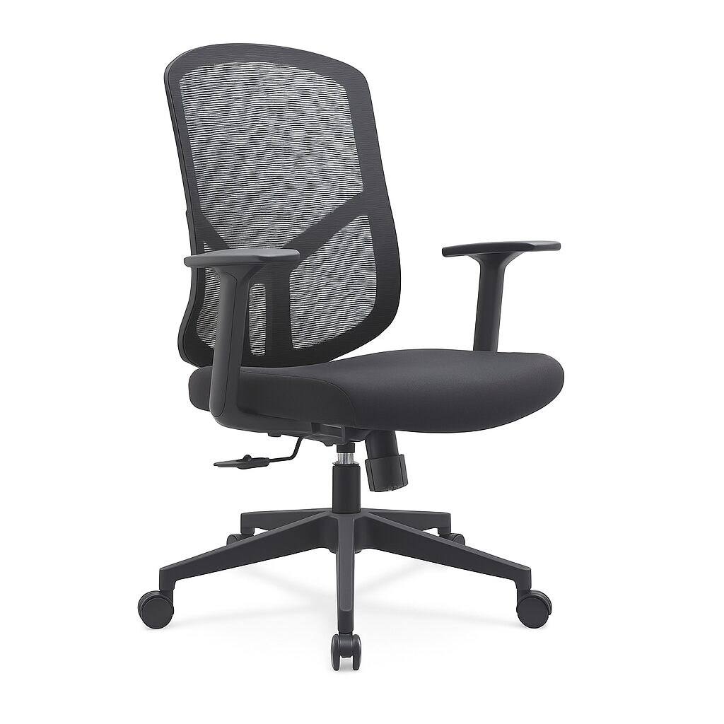 ChatGPT-Image-Sep-28-2025-09_04_10-PM.jpg Ergova Basic Office Chair – Premium Comfort & Support - Image 1