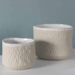 Pino Pot – Elegant Ceramic Planter for Stunning Home Style