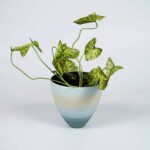 Oceane Flower pot - Image 3