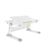 Ideal Study Desk – Ultimate Ergonomic Choice for Success