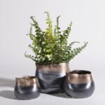 Allgood Ceramic Vase – Timeless Luxury Decor Piece for Homes