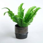 Valli Vase – Ceramic Masterpiece for Unique Home Decoration