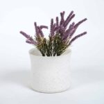 Pipper Ceramic Vase Decoration