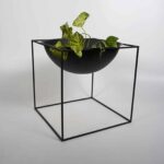 Adelaide B - Black L