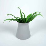 Coco Vas Keramik – Planter Abadi untuk Home Decoration - Gambar 3